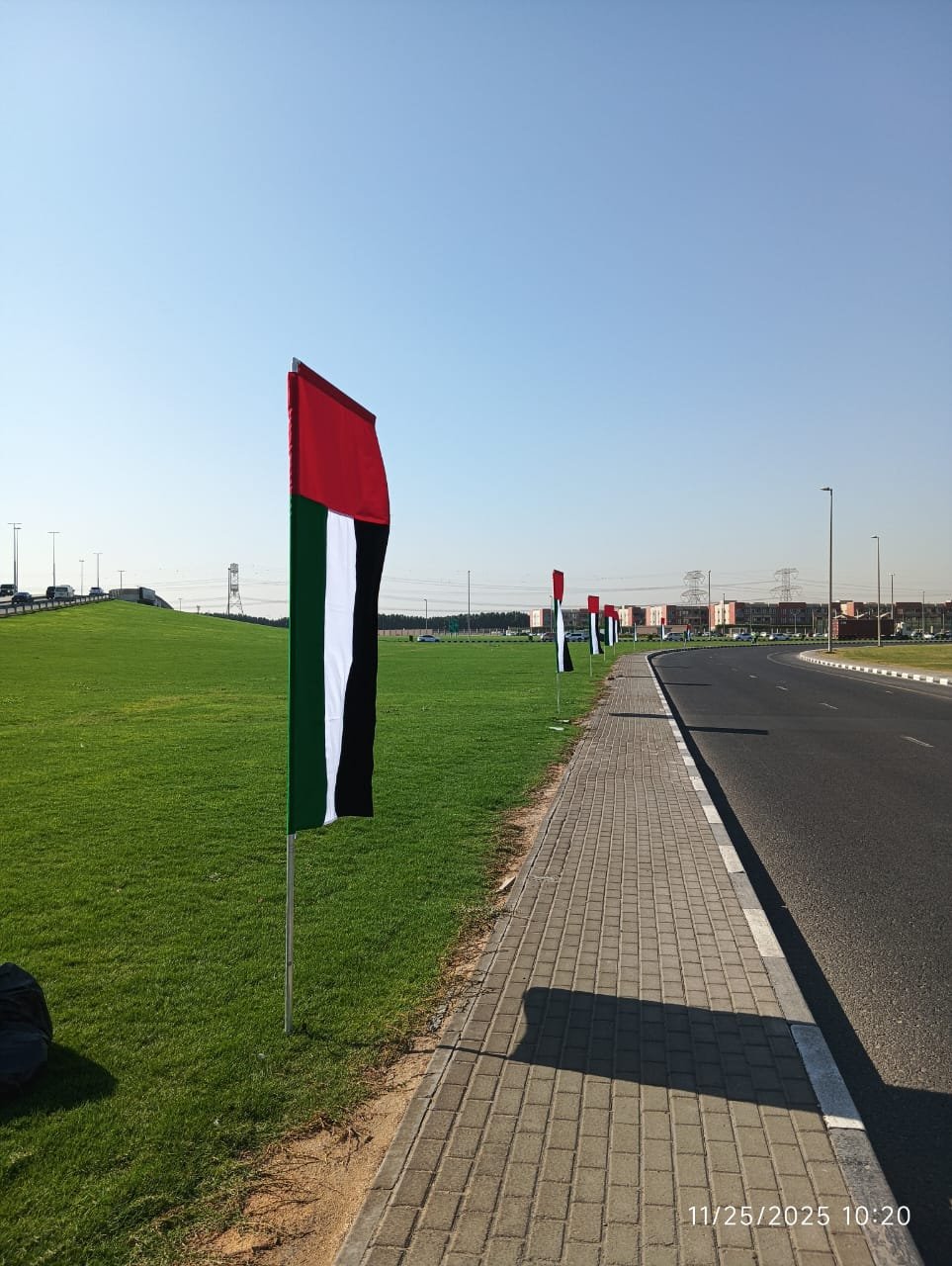 Joys Flags Project